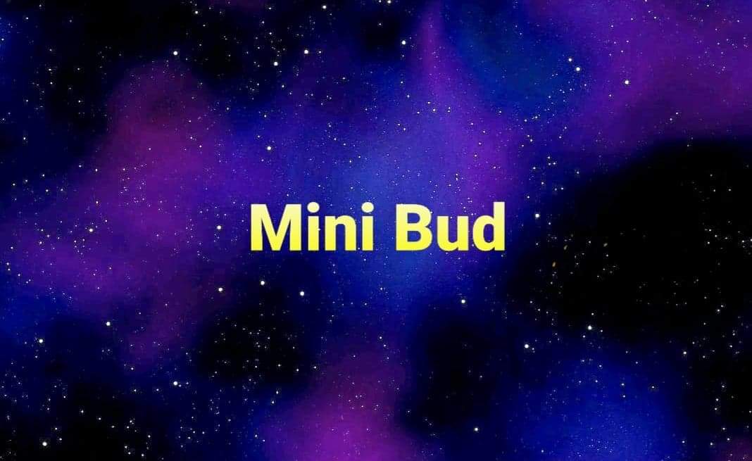 Mini Bud